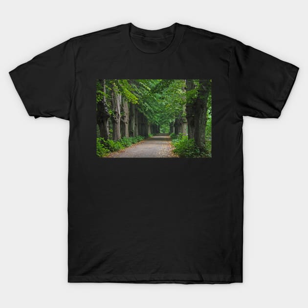 Path T-Shirt by Trine